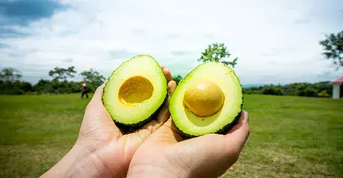 Proexport entidad que promueve el turismo, la inversión extranjera y las exportaciones en Colombia