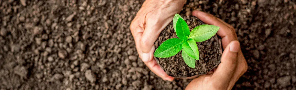 Gestión de residuos: responsabilidad empresarial