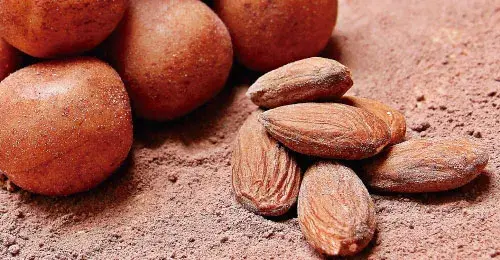 ¿Por qué vale la pena exportar cacao colombiano?