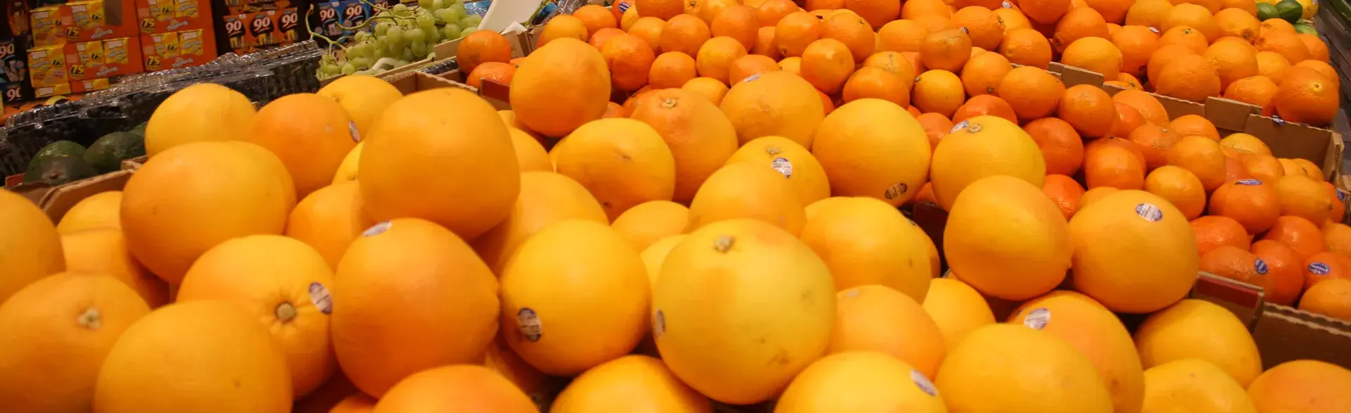 El mercado de cítricos en el mundo | Colombia Trade
