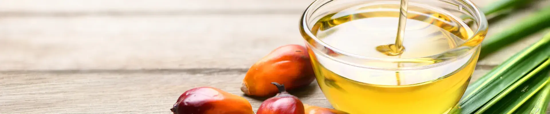 Exportación de aceite de palma en Colombia.