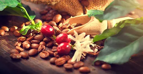 Proexport entidad que promueve el turismo, la