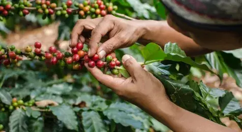 ¿Cómo exportar desde Colombia productos de la cadena químicos y ciencias de la v