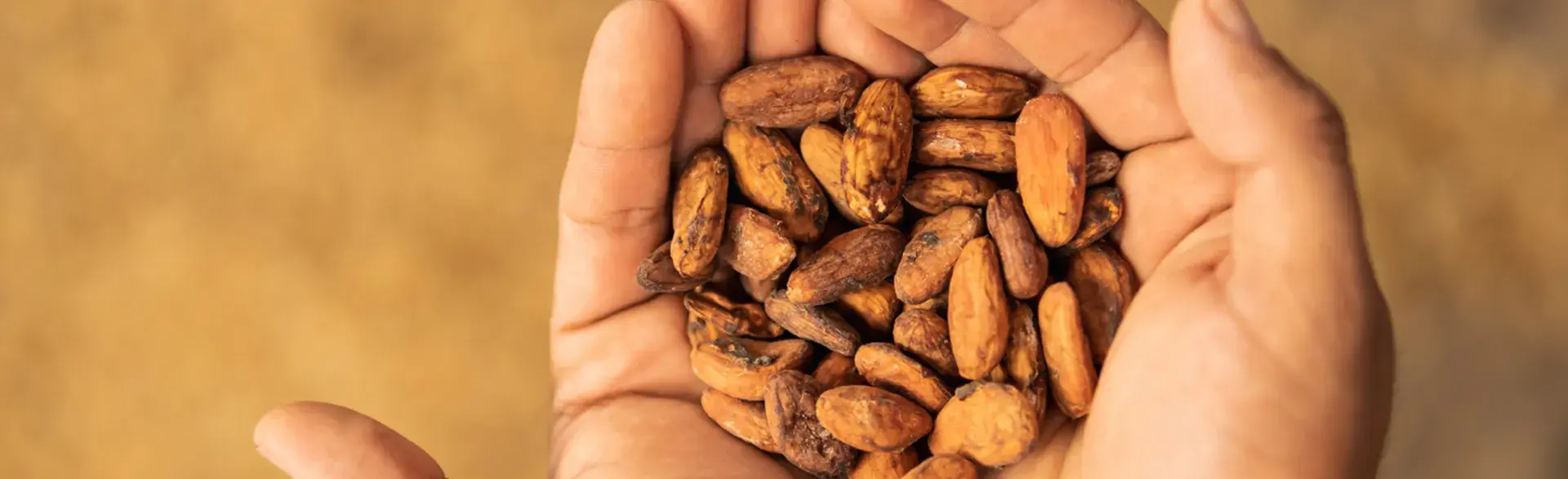 Foto: Shutterstock. Se encuentra