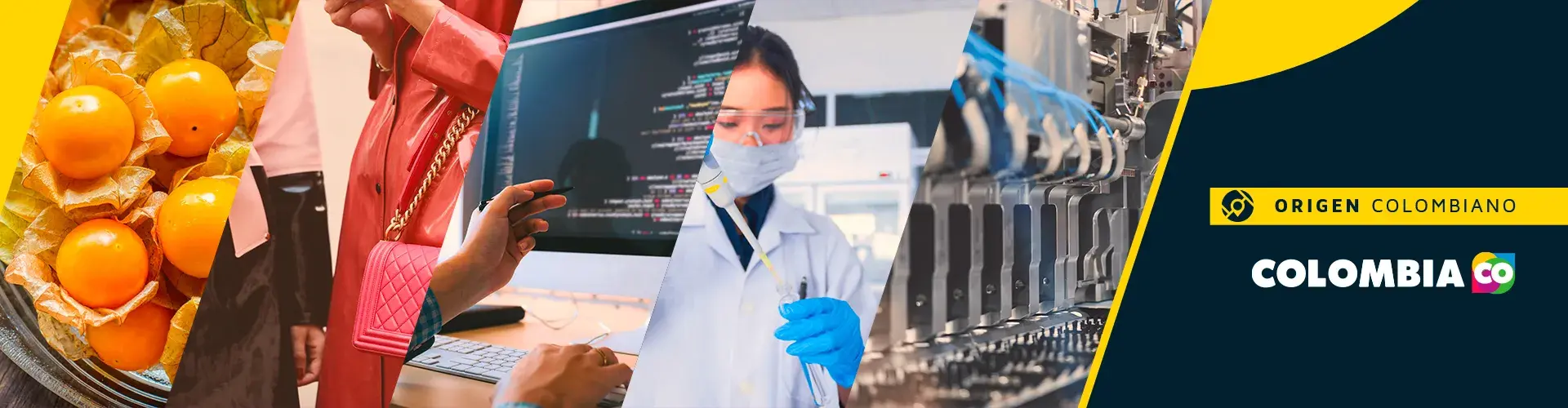 Proexport entidad que promueve el turismo, la inversión extranjera y las exportaciones en Colombia