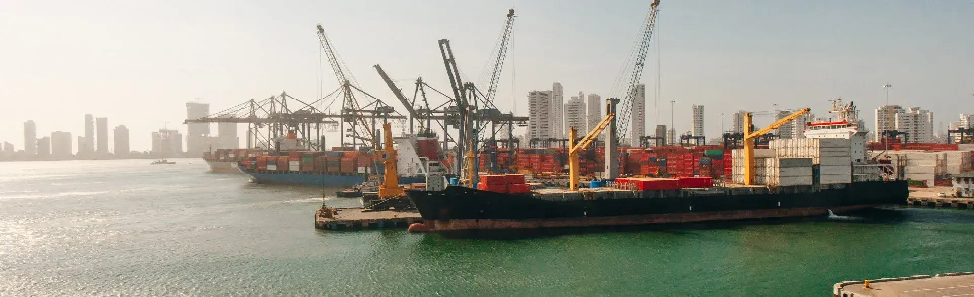 Barcos de Exportación
