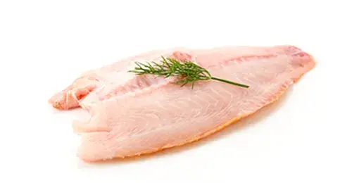 Oportunidades de exportación para el sector acuícola en Colombia