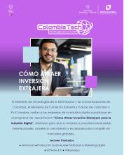 Cómo Atraer Inversión Extranjera para la Industria Digital