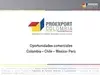 Haciendo negocios con Chile, Perú y México- Bogotá