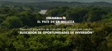 Buscador de oportunidades