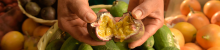 persona abriendo una fruta