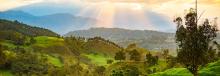 campo verde amanecer