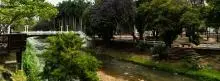 Landscape in Cali city