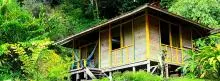 Cabaña en medio de la selva 
