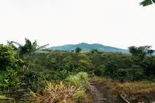 Fotografía panorámica de paisaje en Colombia