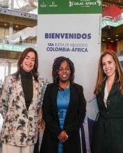 Rueda de negocios Colombia África