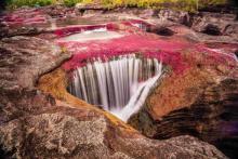 Caño Cristales en el departamento del Meta