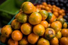 Lulo_frutas de Colombia