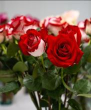 flores colombianas en el mundo por el día de las madres