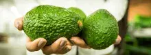 Aguacate Colombiano 