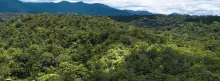 Paisaje verde de montañas