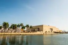 Paisaje de Cartagena con varias palmeras