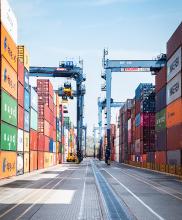 contenedores pollo y huevo