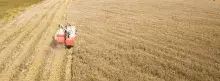 Tractor en medio de campo Colombiano 