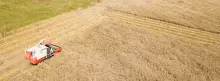 Maquina para uso Agrícola en cultivos 