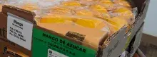 Caja de mango de azúcar para exportación 