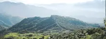 Panoramic photography of Colombian landscape