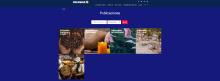 Pantallazo de pagina web de ColombiaCo