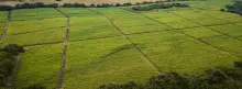 Farms of Valle del Cauca