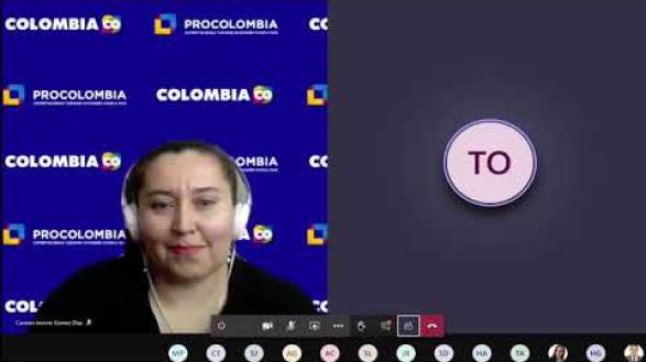 Preview image for the video "Capacitación Operaciones Marítimas en el Aplicativo SIIS - VUCE".